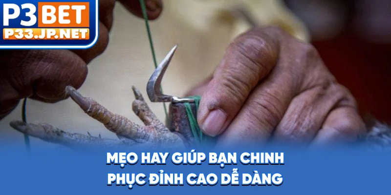 Mẹo hay giúp bạn chinh phục đỉnh cao dễ dàng